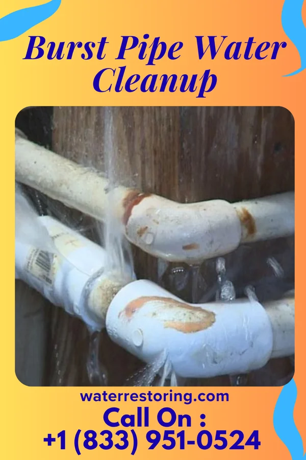 Burst Pipe Water Cleanup in Sharon Springs, NY