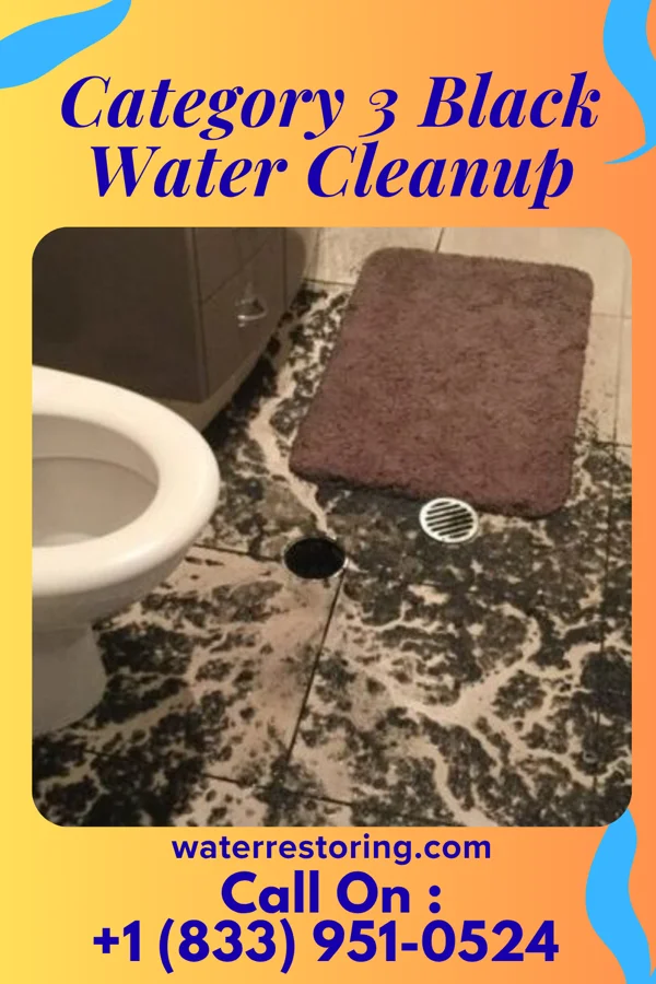Category 3 Black Water Cleanup in Sharon Springs, NY