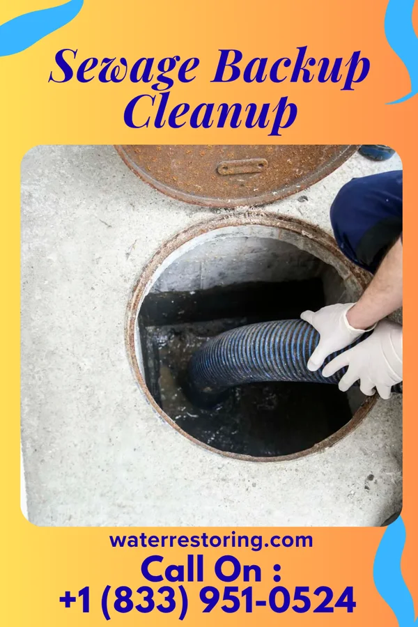 Sewage Backup Cleanup in Sharon Springs, NY