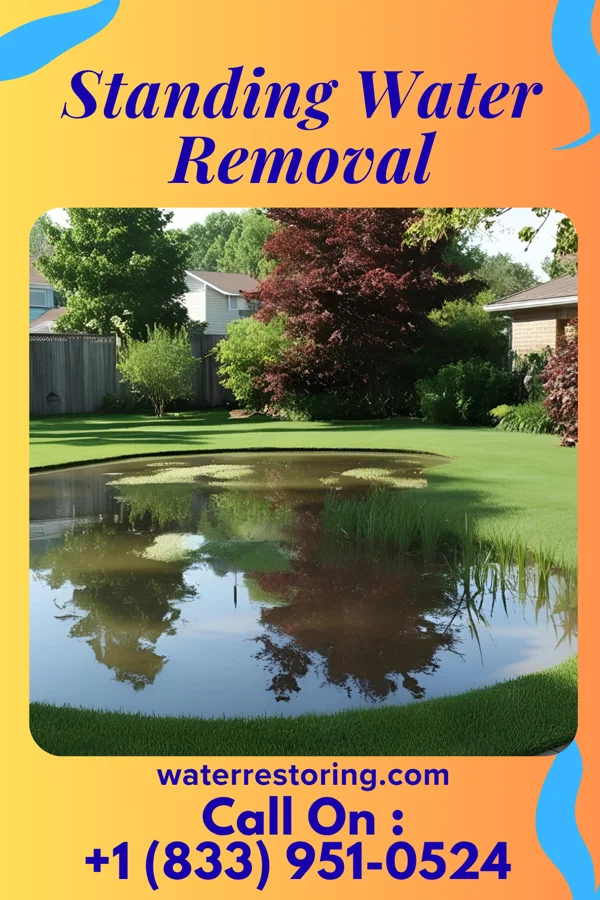 Standing Water Removal in Sharon Springs, NY